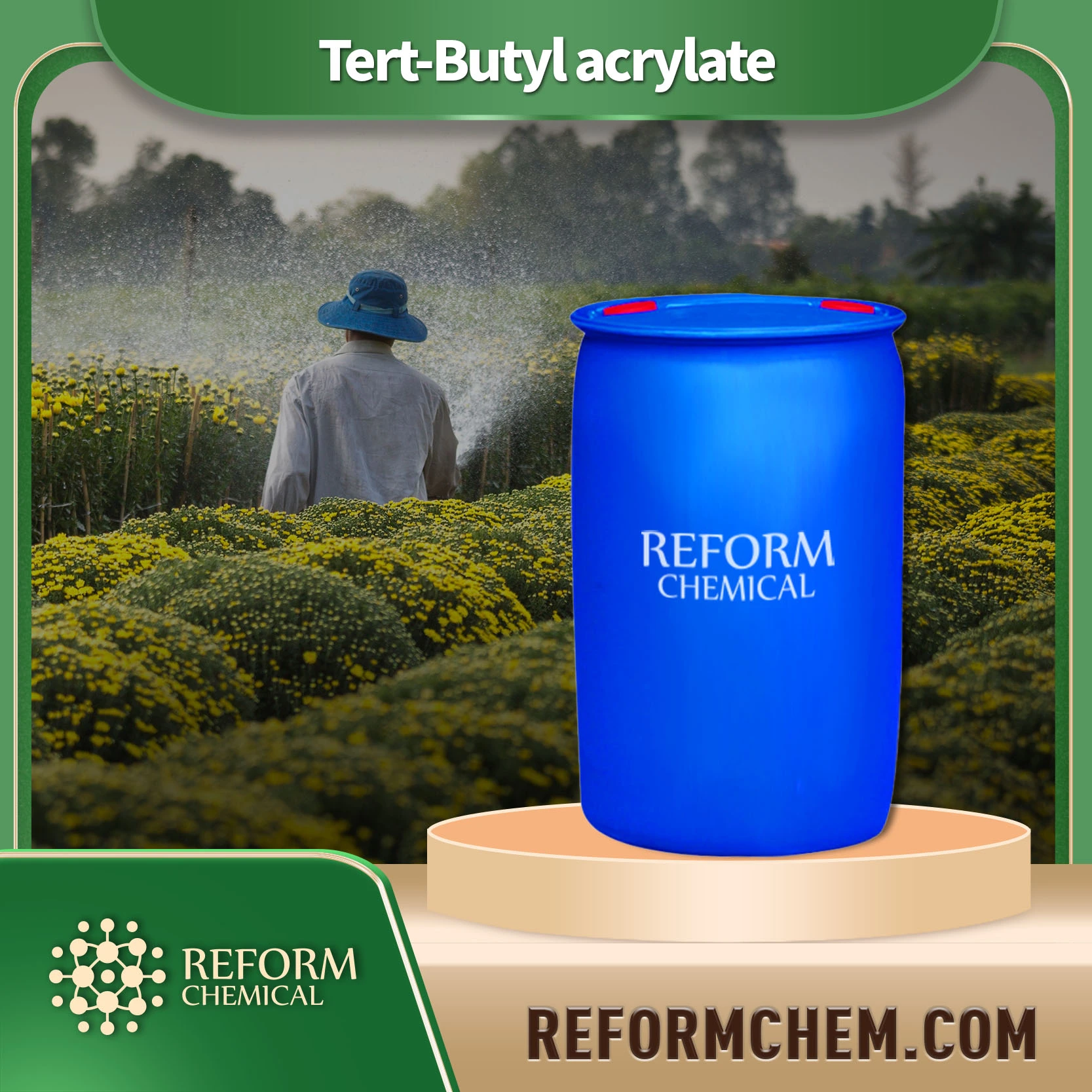 tert butyl acrylate1663 39 4