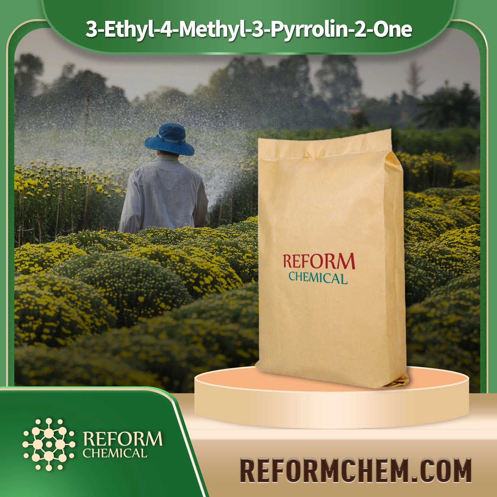 3-Ethyl-4-Methyl-3-Pyrrolin-2-One 3-Ethyl-4-Methyl-3-Pyrrolin-2-One